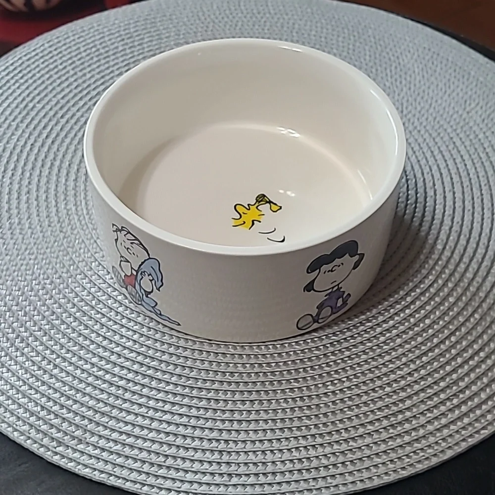 Peanuts Stoneware Pet Bowl